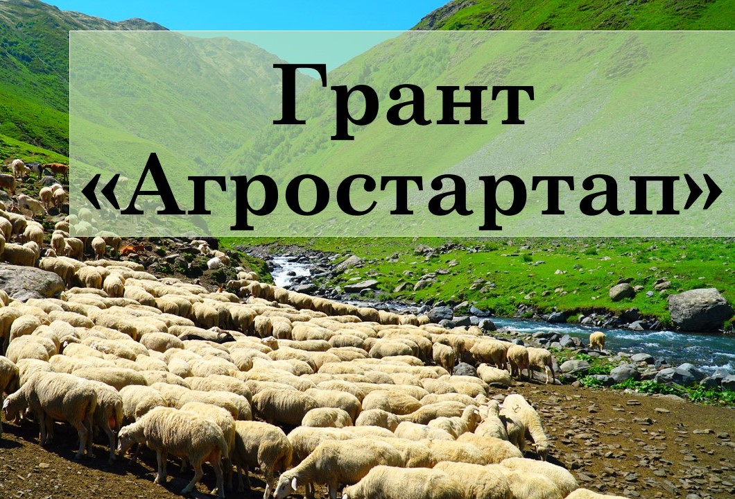 Примите участие в программе «Агростартап».