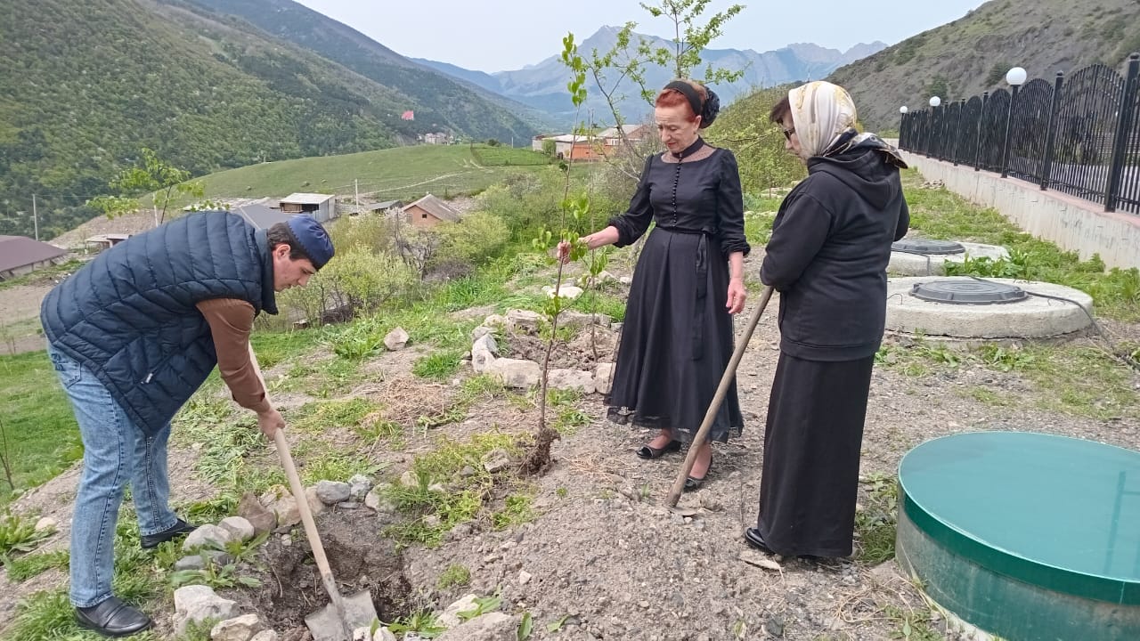 Акция  &quot;Сад Памяти&quot;.