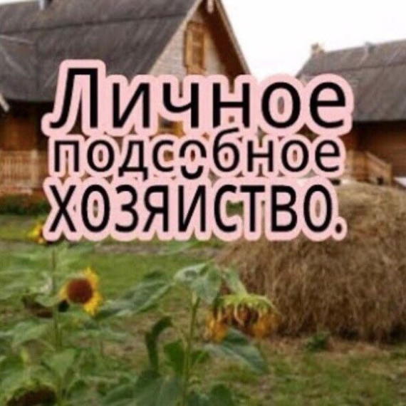 Продлены сроки приема документов на участие в конкурсе ЛПХ. Продлены сроки приема документов на участие в конкурсе ЛПХ.