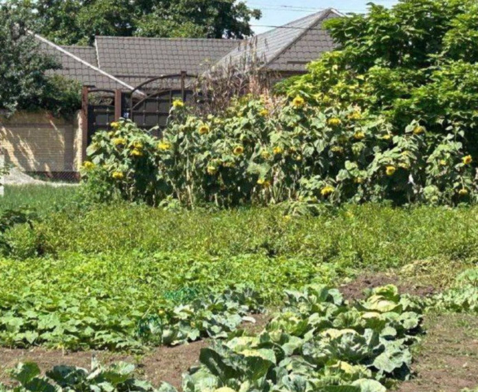 Жители Назрановского района стали финалистами конкурса на лучшее ЛПХ. Жители Назрановского района стали финалистами конкурса на лучшее ЛПХ.